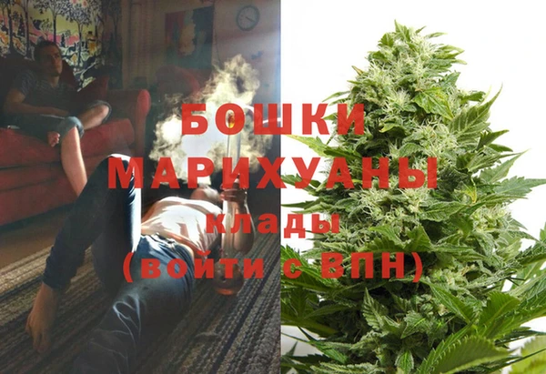 дживик Аркадак